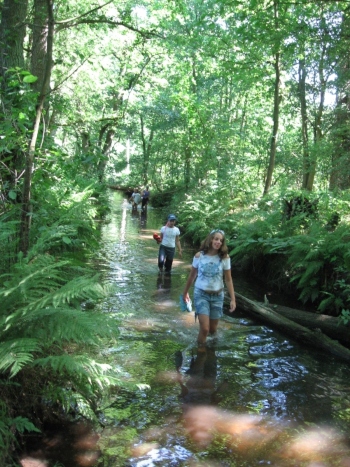 lopen beek